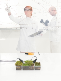 Female scientist monitoring a plant experiment